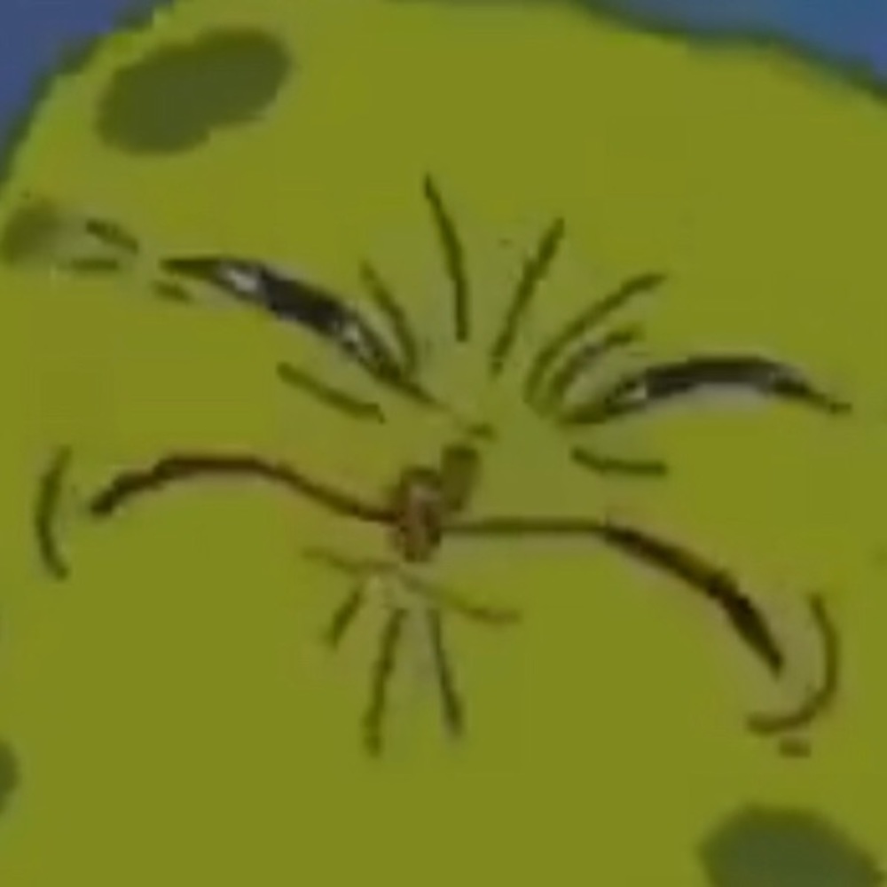 Meet your Posher, Tobi